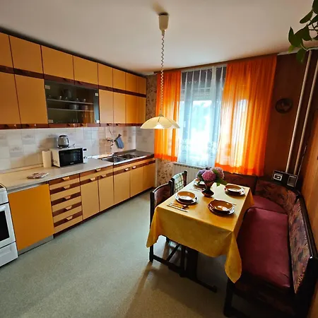 Apartma Vintage Erjavec *