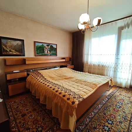 Vintage Erjavec