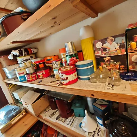 Vintage Erjavec Apartma *